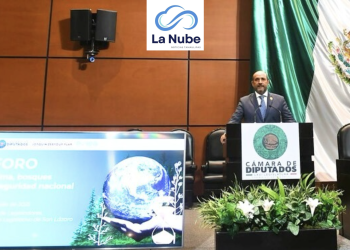 Tamaulipas se Planta en San Lázaro: Pepe Schekaibán y el Despertar Climático en la Frontera